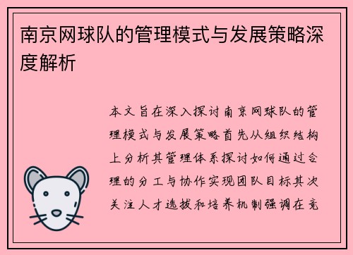 南京网球队的管理模式与发展策略深度解析